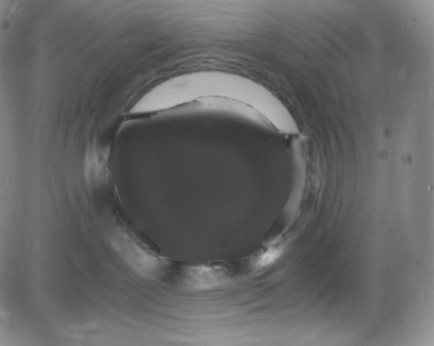 X0000080730239200701051107