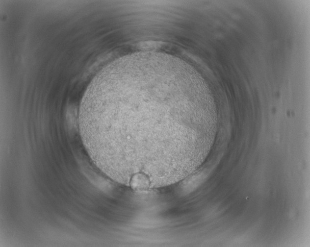 X0000080730240200701051107