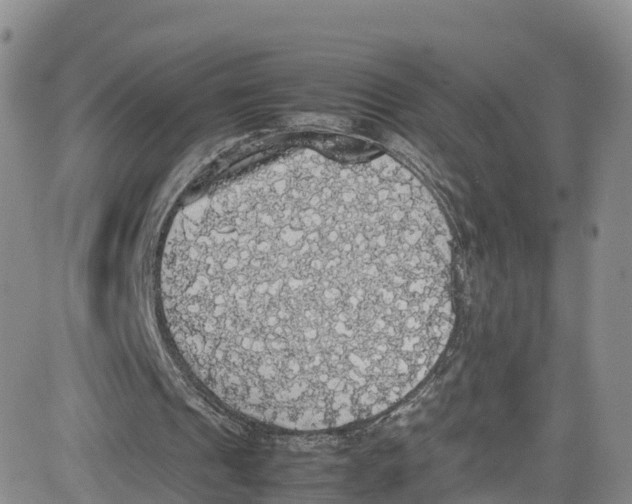 X0000080730241200701051106