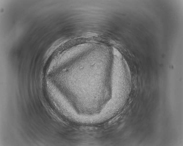 X0000080730242200701051106