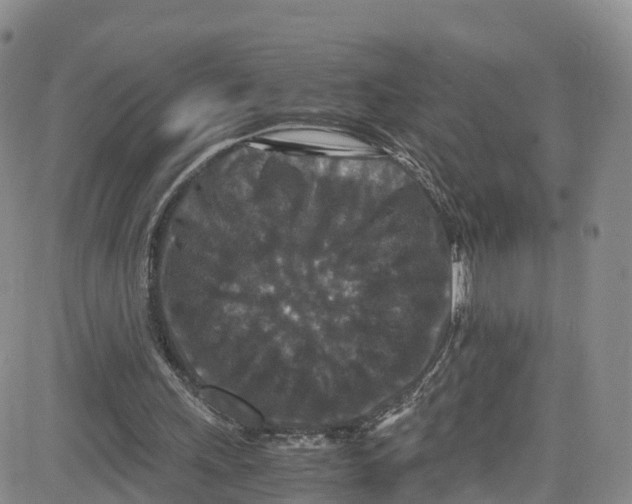 X0000080730243200701051106