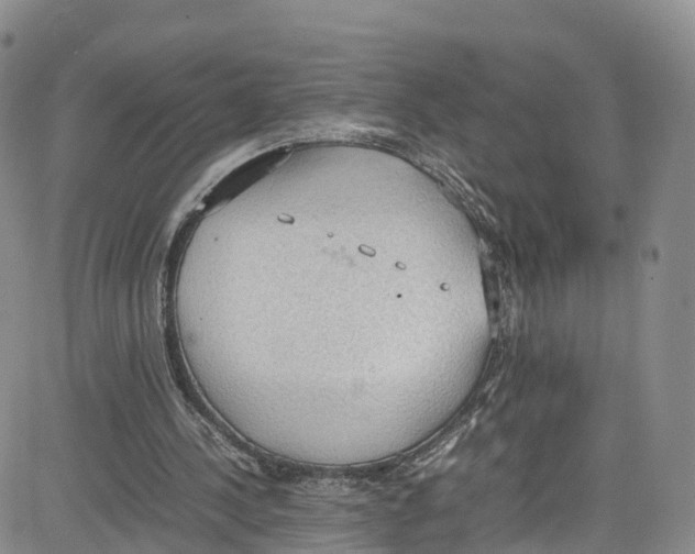 X0000080730244200701051106