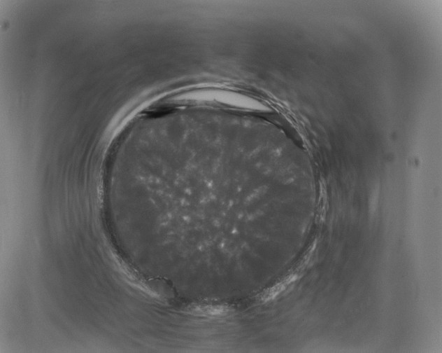 X0000080730247200701051106