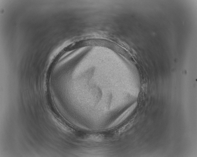 X0000080730248200701051106