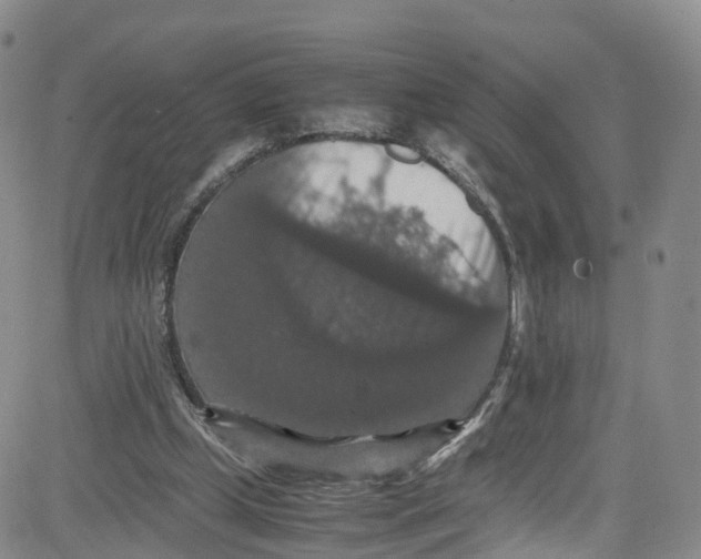 X0000080730249200701051106