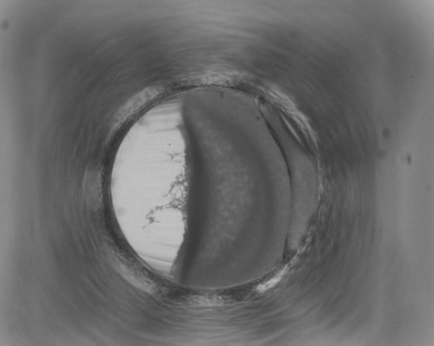 X0000080730250200701051106