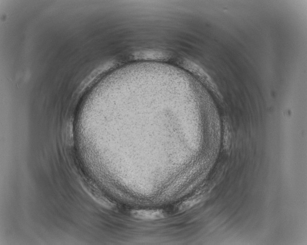 X0000080730251200701051106