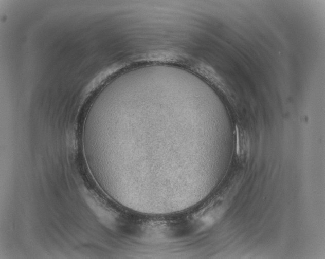 X0000080730252200701051106