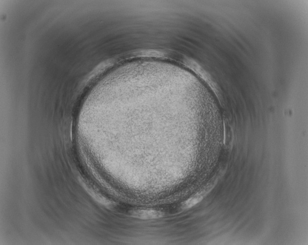 X0000080730253200701051106