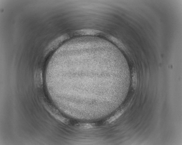 X0000080730254200701051106