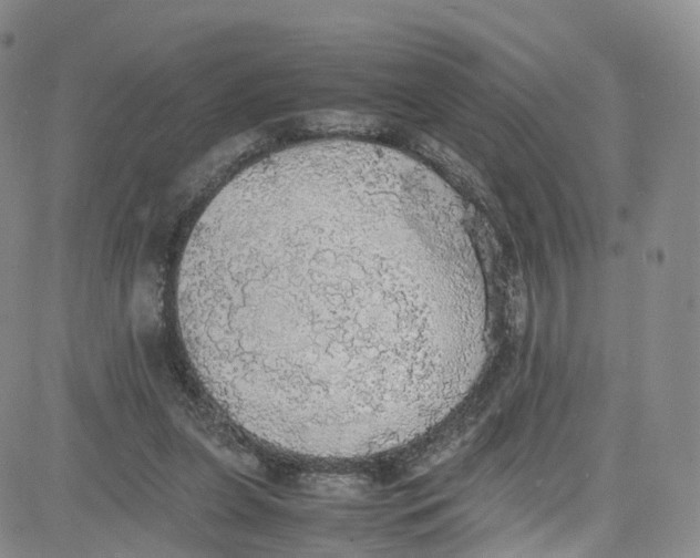 X0000080730255200701051106