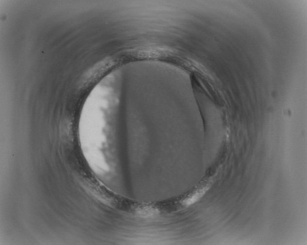 X0000080730258200701051106