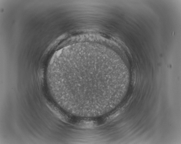 X0000080730260200701051106