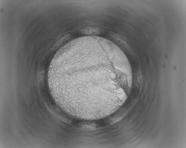 X0000080730263200701051106