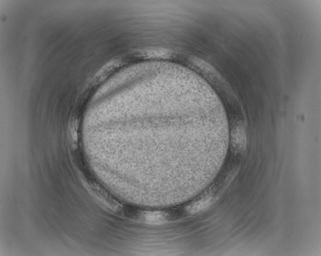 X0000080730264200701051106