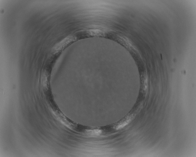 X0000080730266200701051106