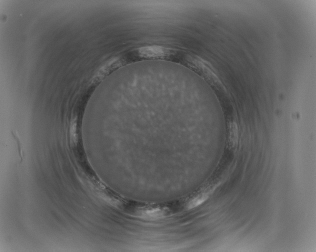 X0000080730267200701051106