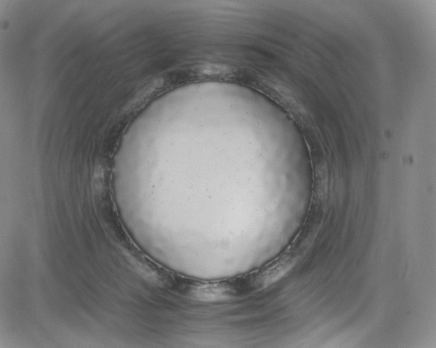 X0000080730269200701051106