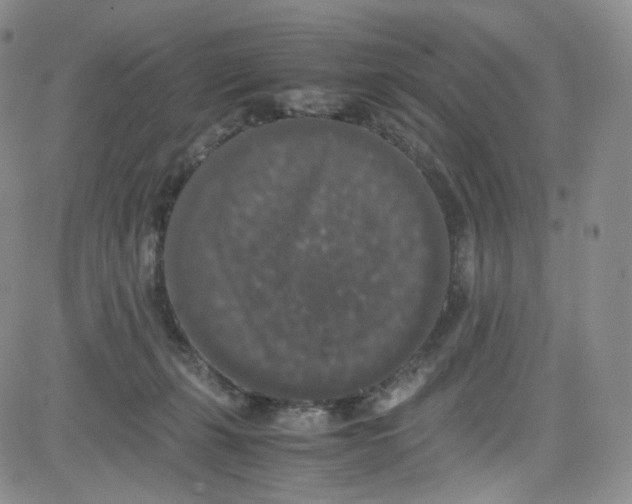 X0000080730271200701051106