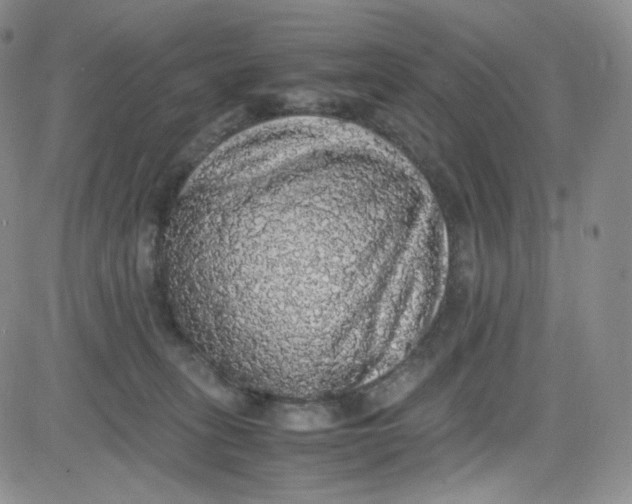 X0000080730275200701051106