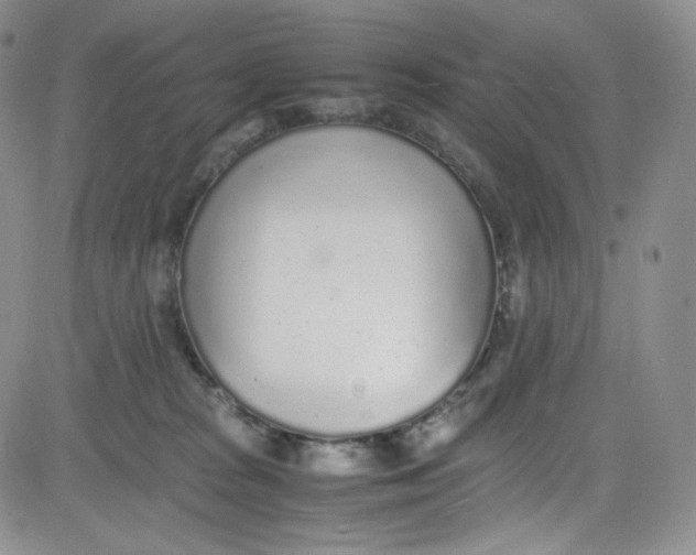 X0000080730277200701051106