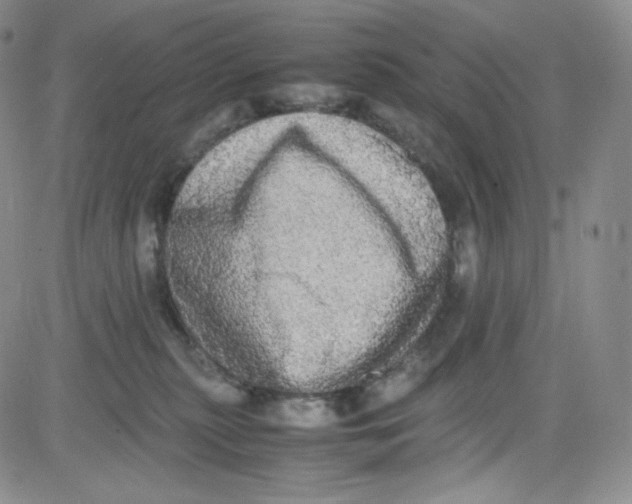 X0000080730279200701051106