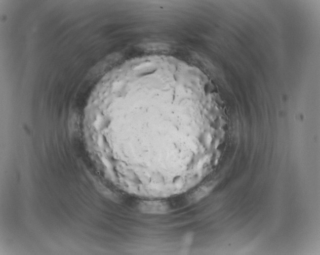 X0000080730281200701051106