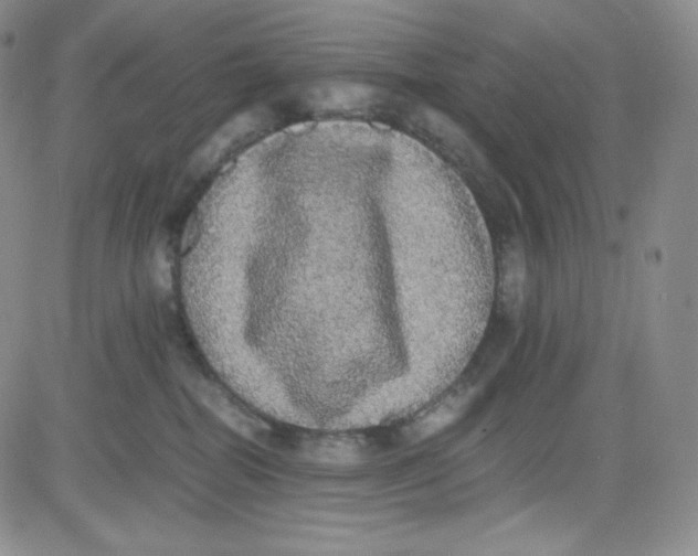 X0000080730282200701051106