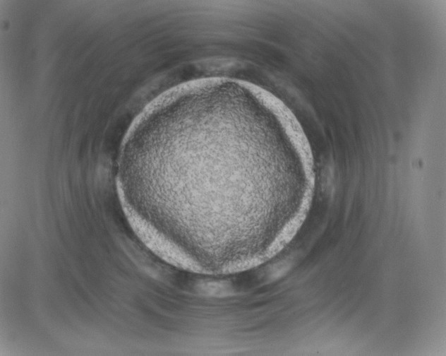 X0000080730283200701051107