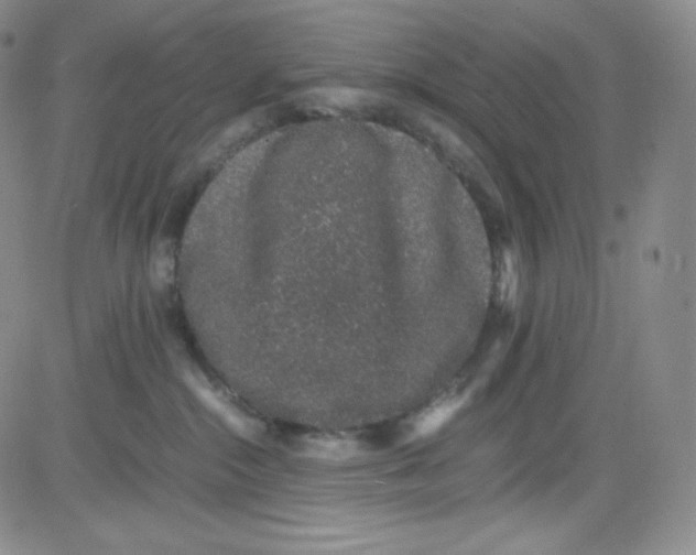 X0000080730284200701051107