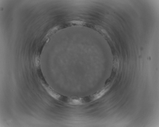 X0000080730285200701051107