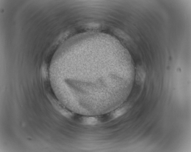 X0000080730287200701051107