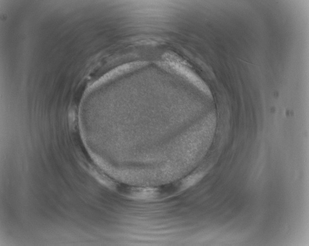 X0000080730288200701051107