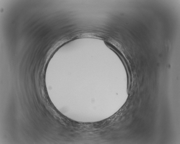 X0000080730289200701051106