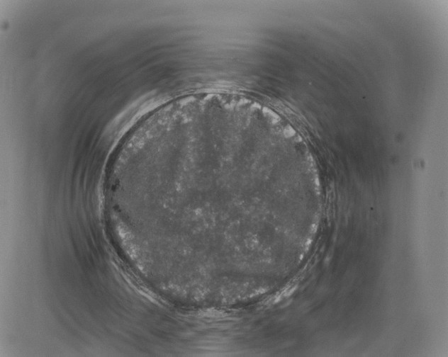 X0000080730290200701051106