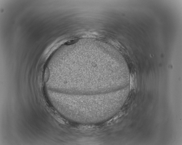 X0000080730291200701051106