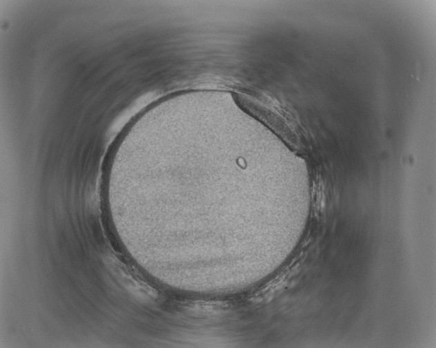 X0000080730292200701051106