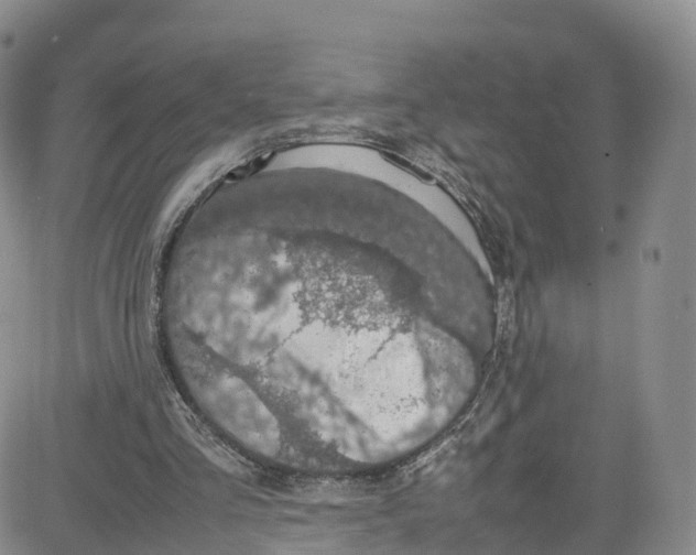 X0000080730293200701051106