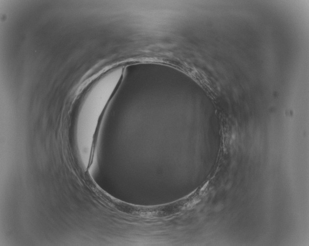 X0000080730295200701051106