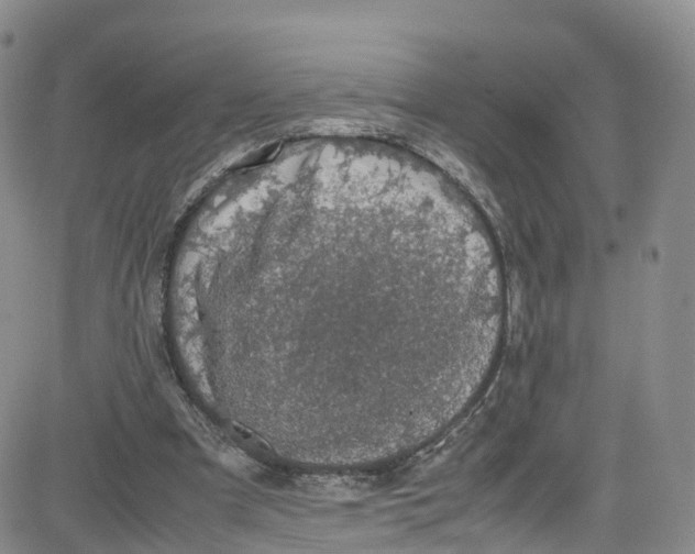 X0000080730297200701051106