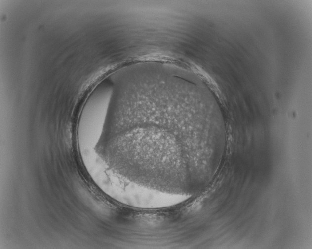 X0000080730298200701051106