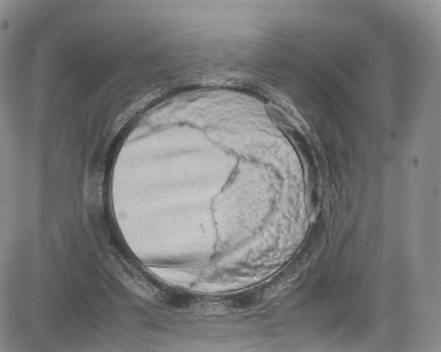 X0000080730299200701051106