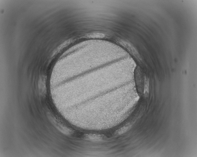 X0000080730300200701051106