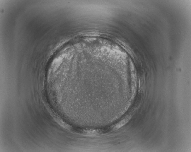 X0000080730301200701051106