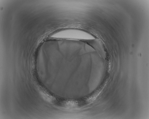 X0000080730303200701051106