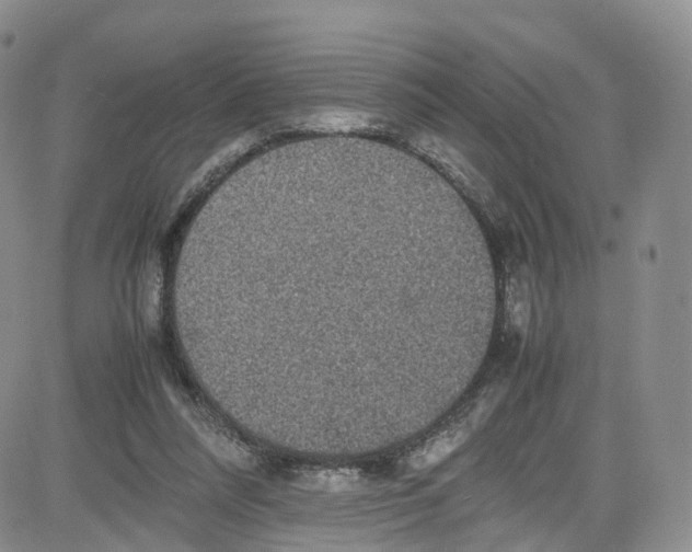 X0000080730304200701051106