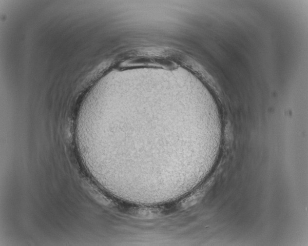 X0000080730305200701051106