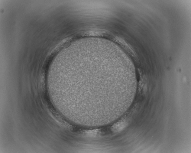 X0000080730306200701051106