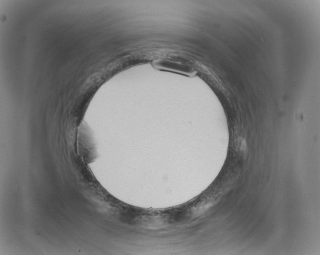 X0000080730307200701051106