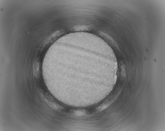 X0000080730308200701051106